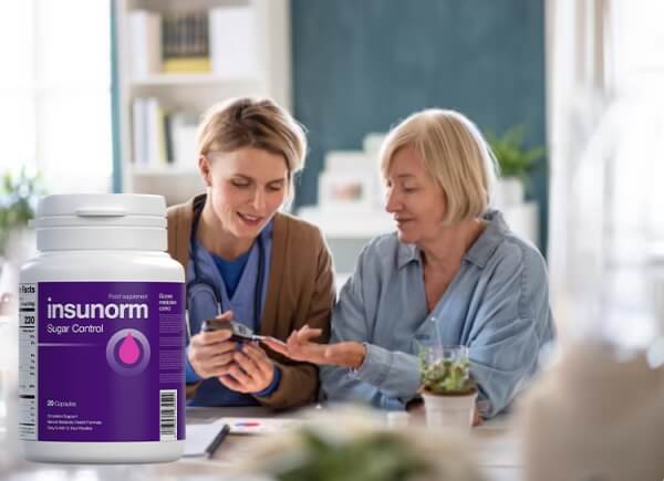 Como usar o Insunorm Instruções